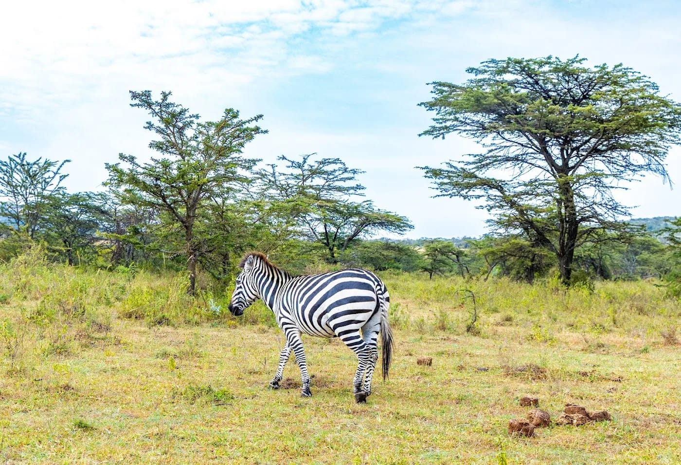 Welcome at the gates of Oltukai Mara Camp