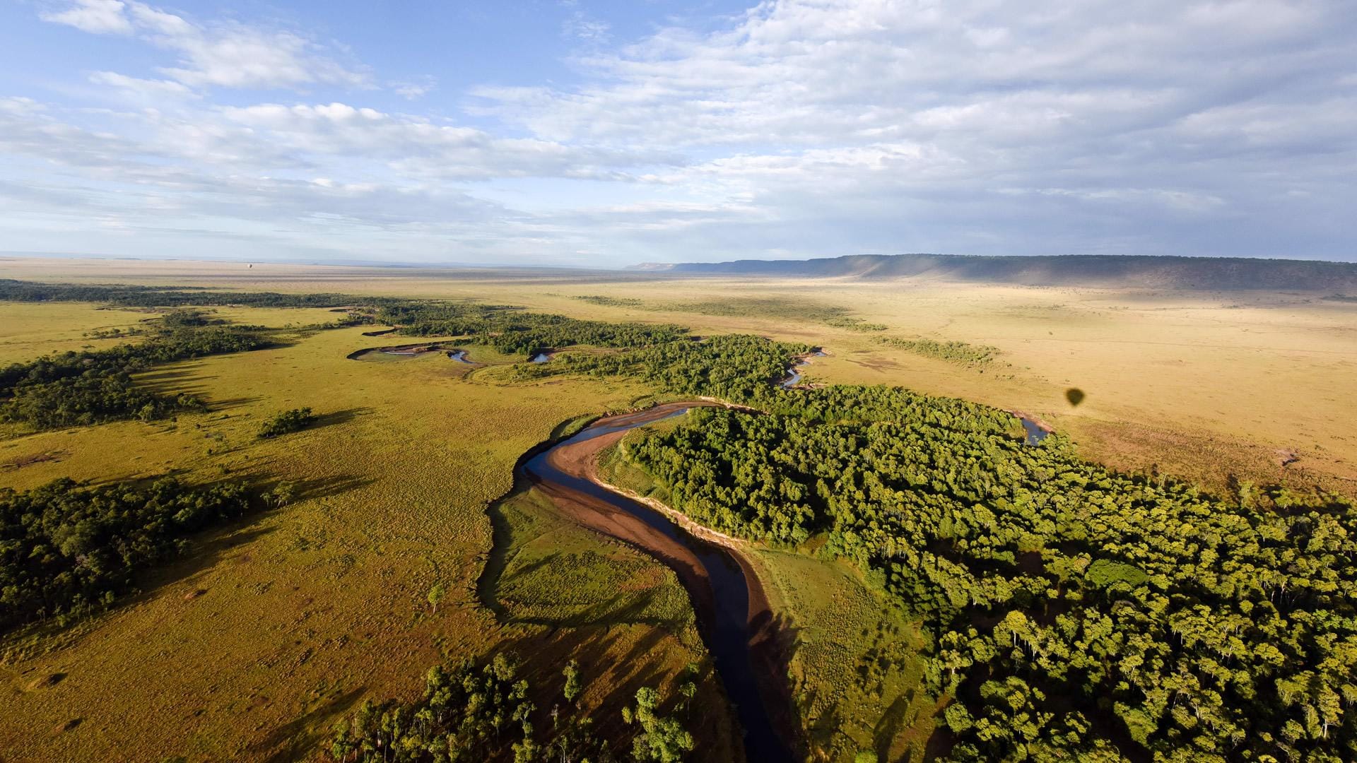 Mara River corridor framed by acacia woodland