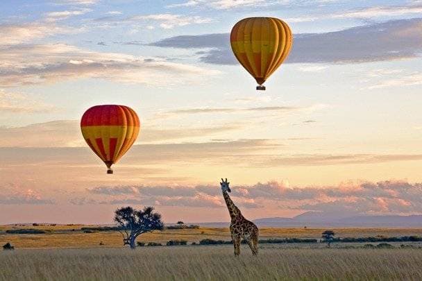 Balloon Safari