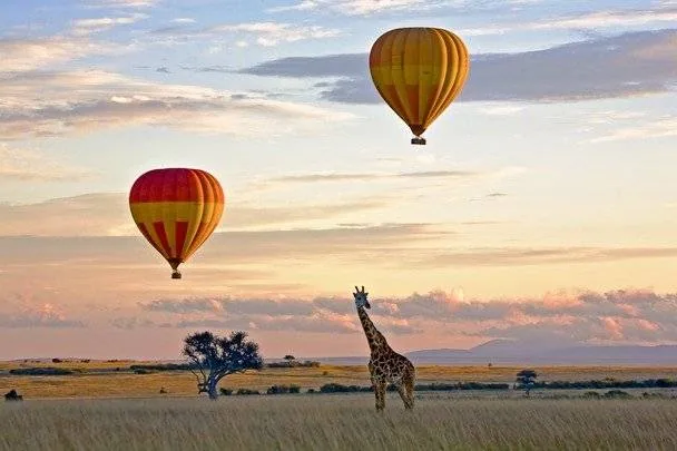 Hot air balloon and safari experiences near Oltukai Mara Camp