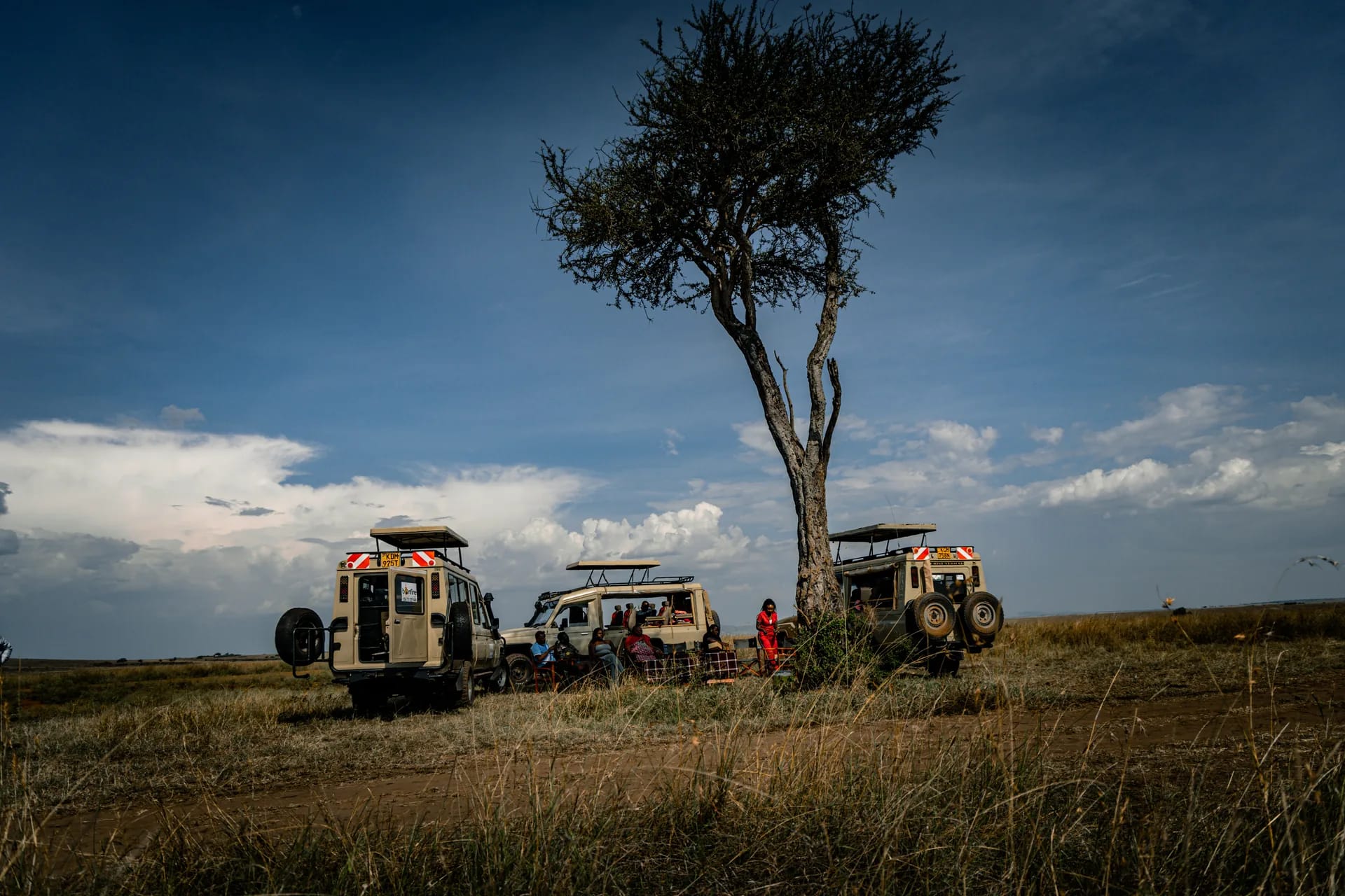 Bush Dinner at Oltukai Mara Camp