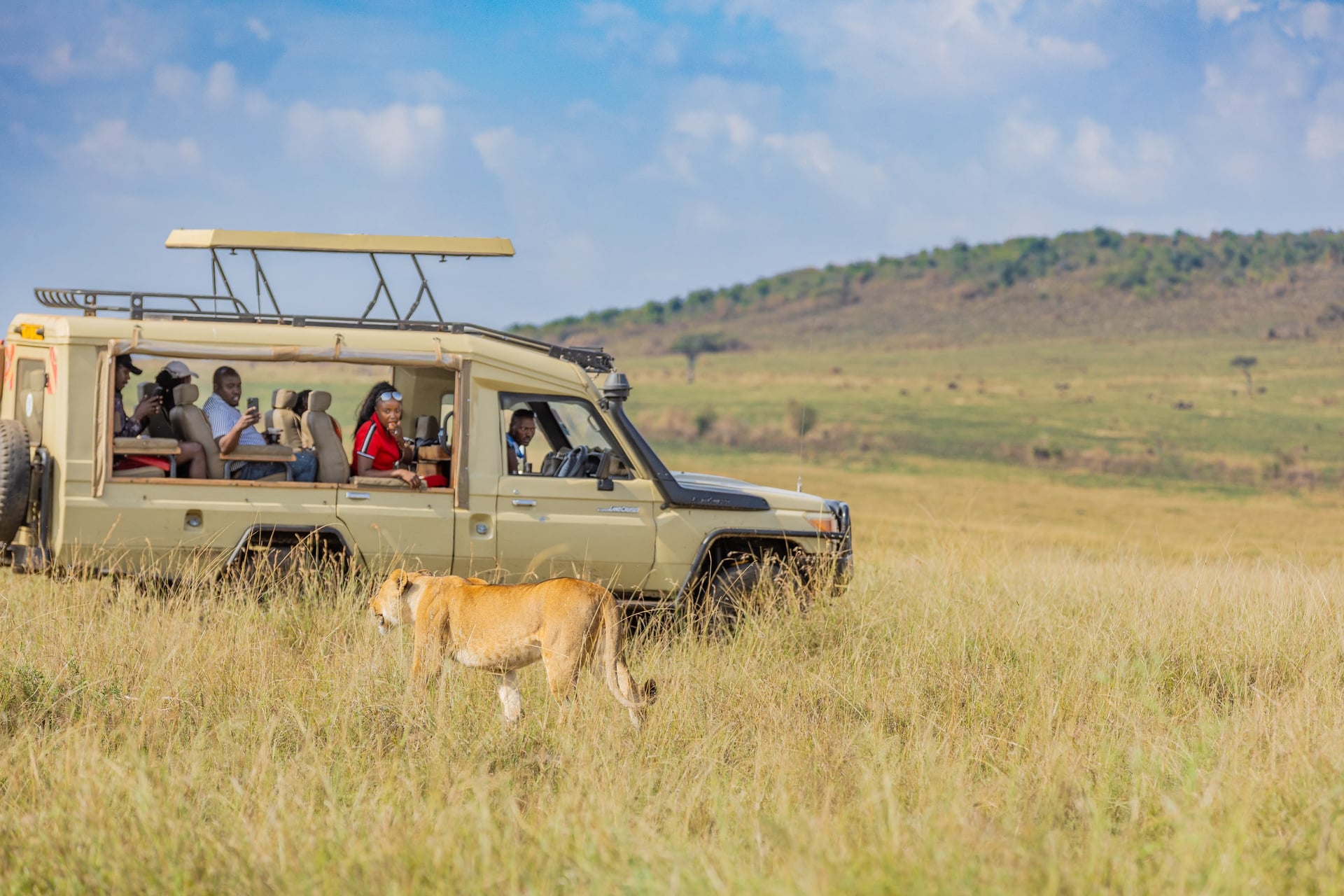Wildlife. Oltukai Mara Camp
