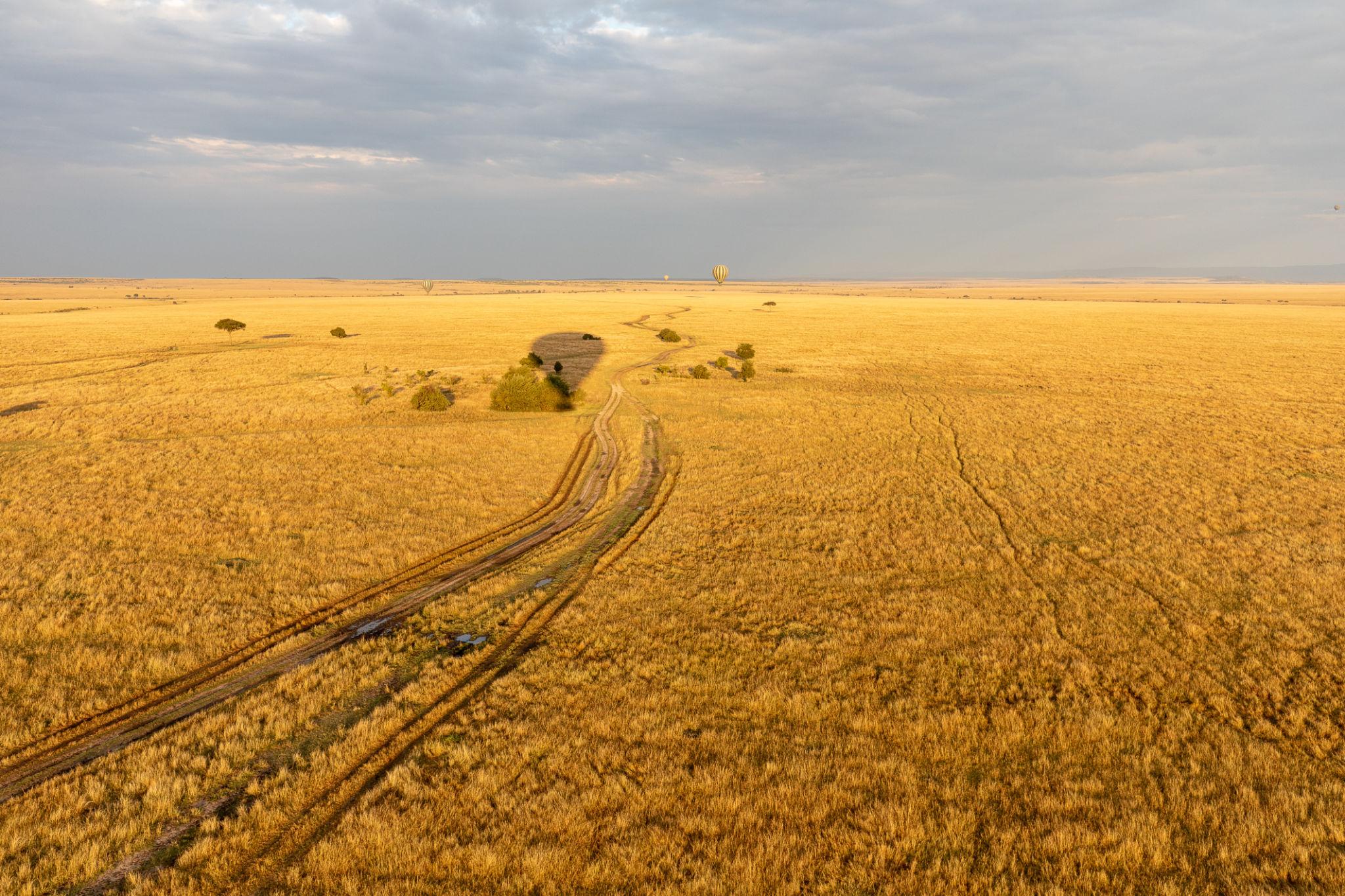 Open plains filled with migrating wildlife in Kenya
